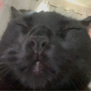 Meet your Posher, Erdnax